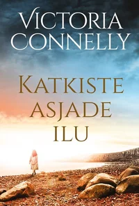 Katkiste asjade ilu