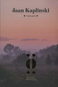 Vaimu paik