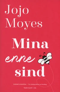 Mina enne sind