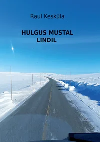 Hulgus mustal lindil