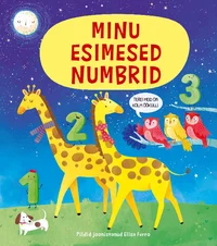 Minu esimesed numbrid