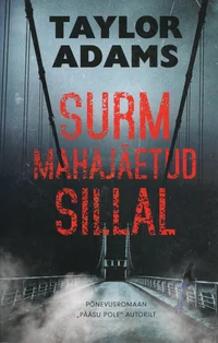 Surm mahajäetud sillal
