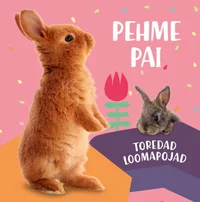 Pehme pai