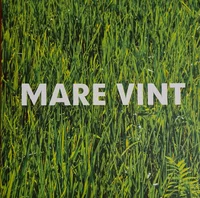 Mare Vint