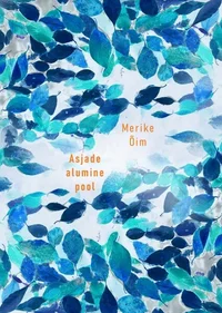 Asjade alumine pool