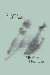 Kui ma olin udu