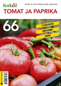 Tomat ja paprika
