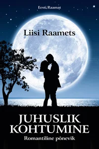 Juhuslik kohtumine. Moon Valley romaan. Romantiline põnevik