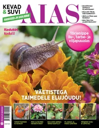 Kevad ja suvi aias