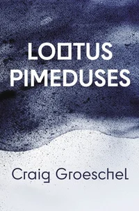 Lootus pimeduses