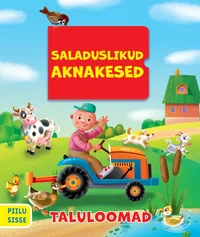 Saladuslikud aknakesed