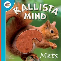 Kallista mind