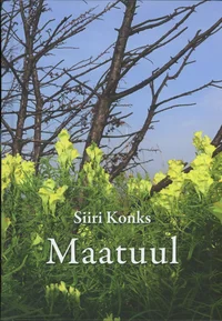 Maatuul