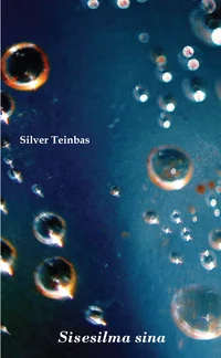 Sisesilma sina