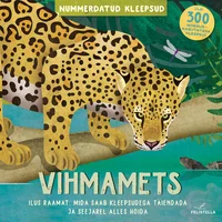 Vihmamets