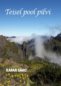 Teisel pool pilvi
