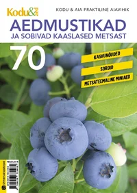 Aedmustikad ja sobivad kaaslased metsast