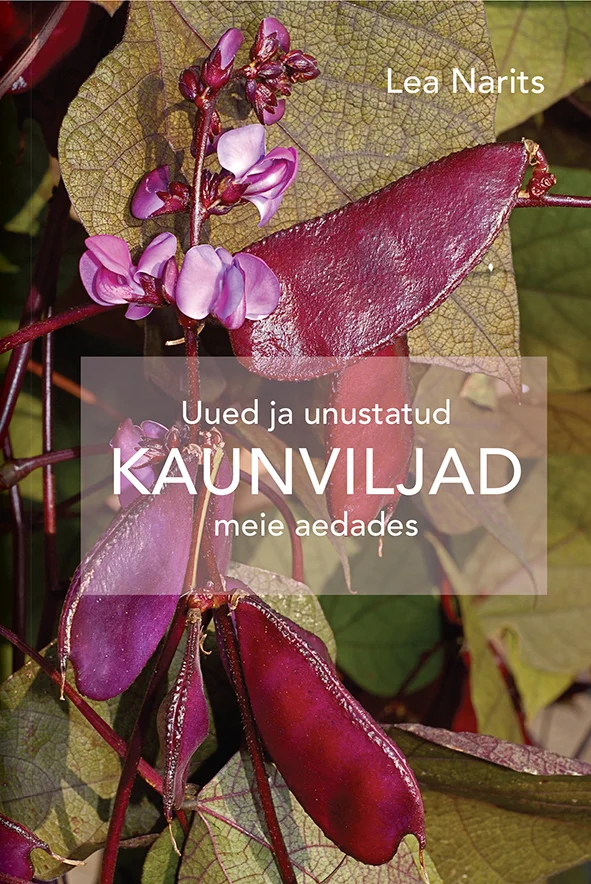 Uued ja unustatud kaunviljad meie aedades - Lea Narits (Varrak, 2024). Fotorealistlik lähivõte lillakaspunastest kaunviljadest ja lehtedest, mis loob rikkaliku looduslähedase mulje. Taimede detailne tekstuur ja sügavad burgundpunased toonid domineerivad kogu kaanepildil.
