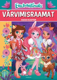 Värvimisraamat