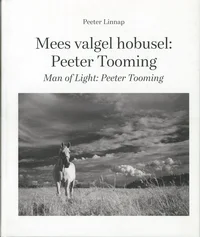 Mees valgel hobusel. Man of light