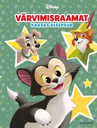 Värvimisraamat