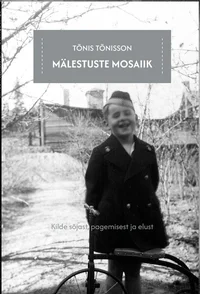 Mälestuste mosaiik