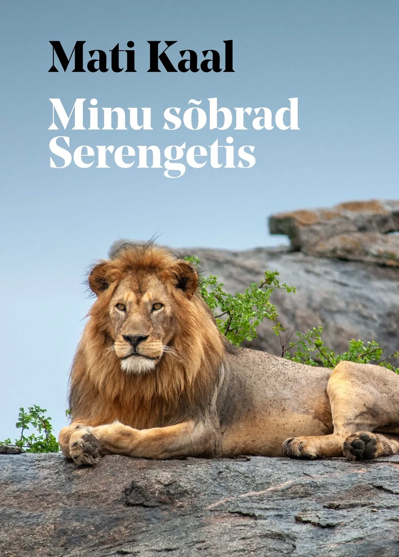 Minu sõbrad Serengetis - Mati Kaal (Tänapäev, 2024). Heleda sinakasrohelise tausta ees lebab kaljul majesteetlik isaslõvi, kelle lopsakas lakk ja rahulik pilk domineerivad kogu kaanepilti. Foto on selge ja detailiderohke, looduslähedases dokumentaalfotograafia stiilis.