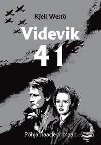 Videvik 41