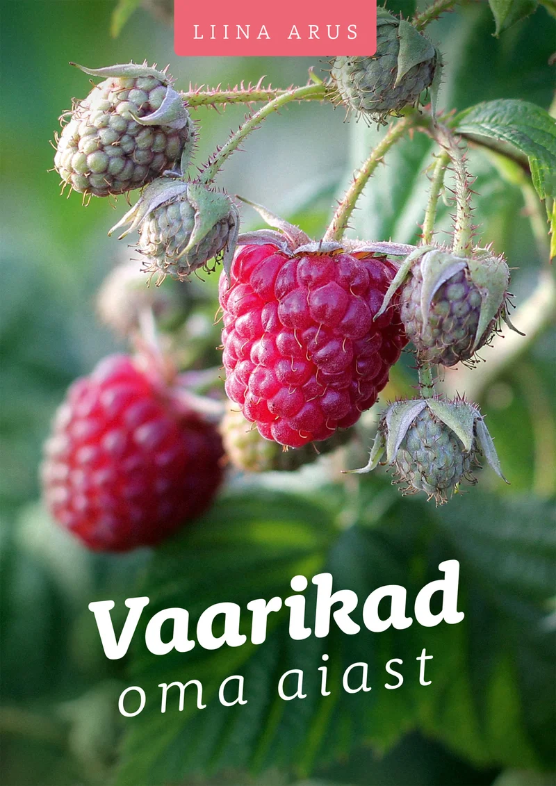 Vaarikad oma aiast - Liina Arus (Hea Lugu, 2025). Lähivõte küpsetest punastest vaarikaviljadest rohelisel varrel, taustal udune roheline aialooduslikkus. Fotorealistlik ja looduslähedane kaanekujundus soojades punakasrohelistes toonides.