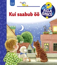 Kui saabub öö