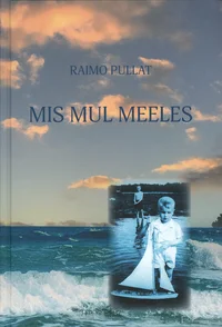 Mis mul meeles