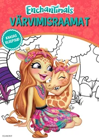Värvimisraamat