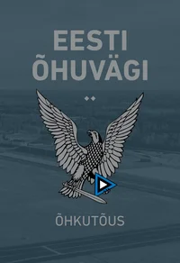 Eesti õhuvägi