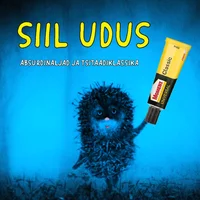 Siil udus