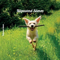 Käpavend Sämm