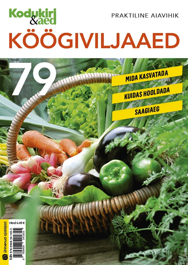 Köögiviljaaed