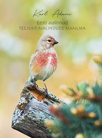 Eesti aialinnud