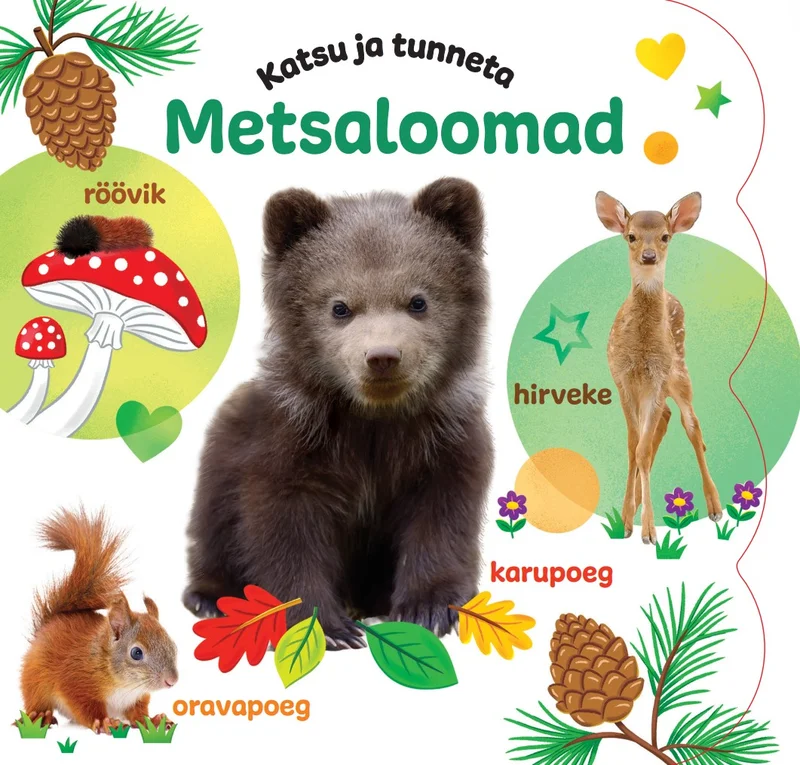 Katsu ja tunneta