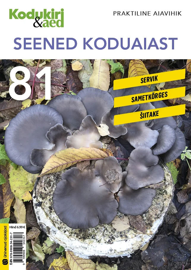 Seened koduaiast - Kalev Adamson (Ühinenud Ajakirjad, 2026). Fotorealistlik kaanepilt, millel on lähivõte tumedatest, sinakashallidest austrikseentest (servik), mis kasvavad käsikimbus puukändudel sügiseses keskkonnas. Taust on rohekas ja hämar, rõhutades seente mahlakat tekstuuri ja loomulikku kasvukeskkonda.