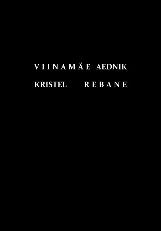 Viinamäe aednik - Kristel Rebane (2026). Minimalistlik must kaas valgete tähtedega, ilma igasuguste illustratsioonide või dekoratiivelementideta.