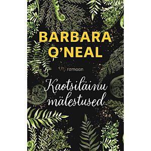 Kaotsiläinu mälestused