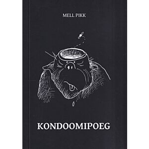 Kondoomipoeg