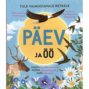 Päev ja öö