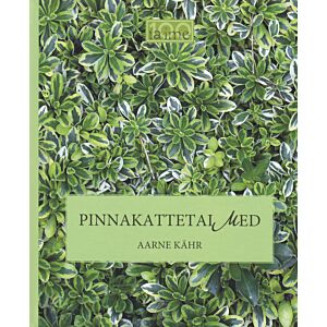 Pinnakattetaimed