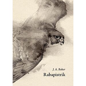 Rabapistrik