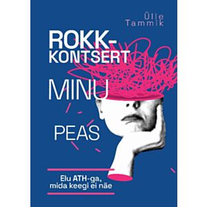 Rokkkontsert minu peas
