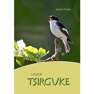 Tsirguke