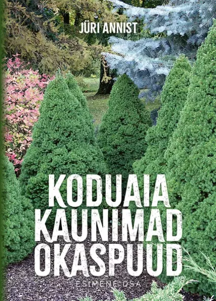 Koduaia kaunimad okaspuud 1. osa