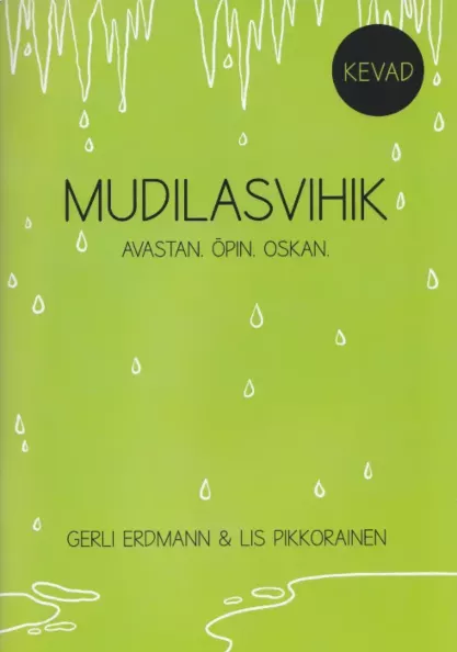 Mudilasvihik