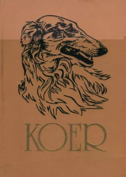 Koer